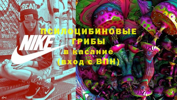 молекула духа Осинники