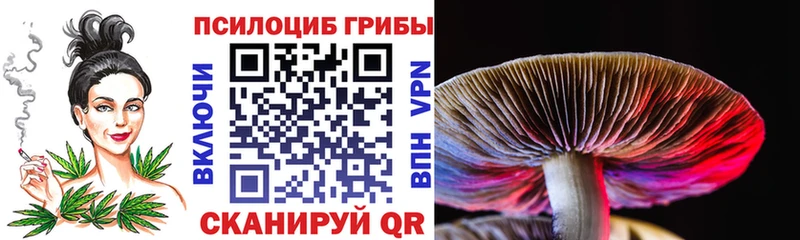 Псилоцибиновые грибы Magic Shrooms  KRAKEN ссылка  Тимашёвск 