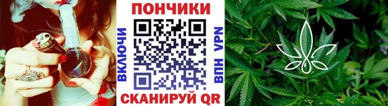 где продают наркотики  Тимашёвск  Каннабис марихуана 